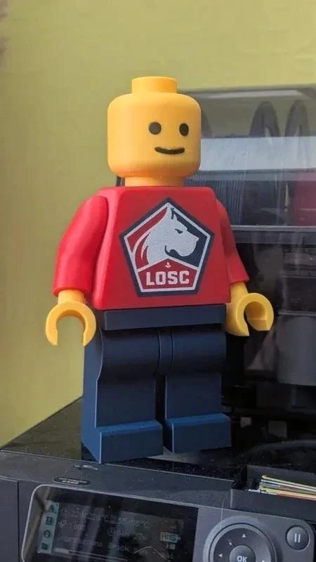 LOSC 3D brick figurine (20cm) - The Dogue you were missing! – photo 3